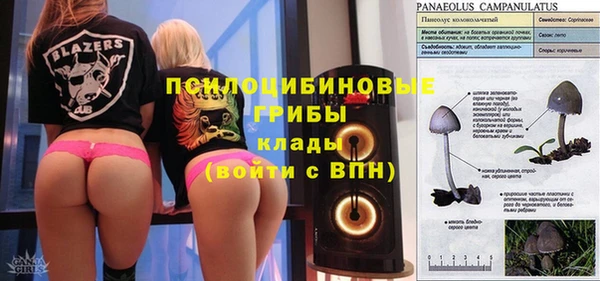 не бодяженный Алзамай