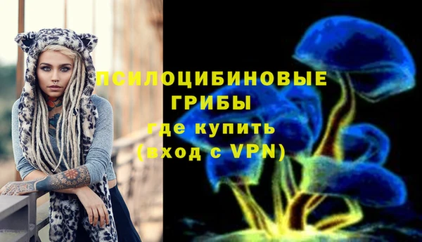 не бодяженный Алзамай