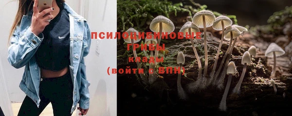 не бодяженный Алзамай