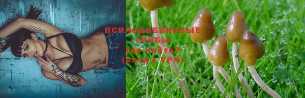 дмт Алексин